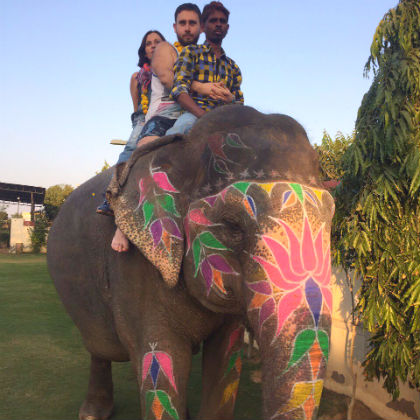 Elephant Activities at Jaipur