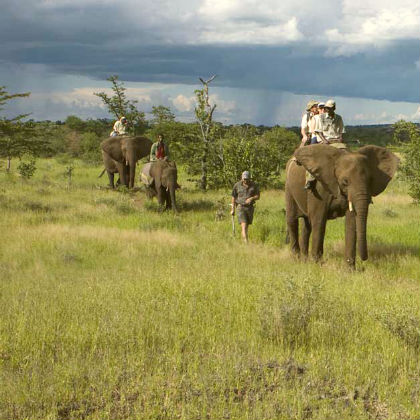 Jim Corbett Wildlife Tour