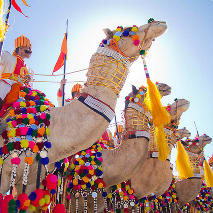 Jaisalmer Desert Festival Tour