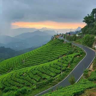 Sweet Kerala Tour Package