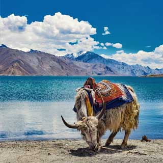 Leh Tour Package From Delhi